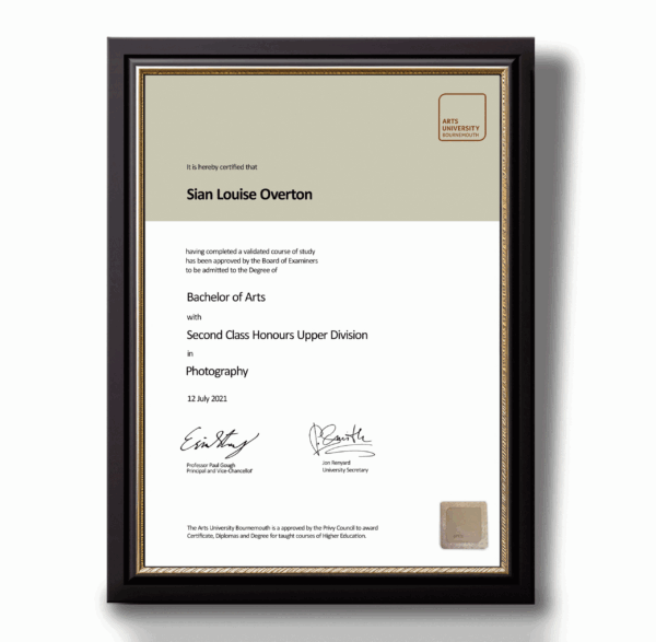 Fake-Diploma from ART University of Bournemouth