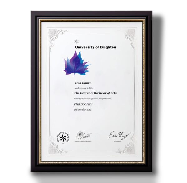 Fake-Diploma from University of Brighton