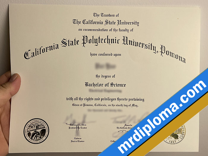 Cal Poly Pomona Custom Printable Degree Certificate Printable Diploma