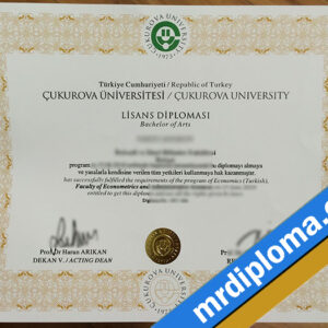 Çukurova University Custom Printable Degree Certificate