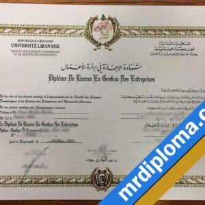 Lebanese University (LU) Custom Printable Degree Certificate