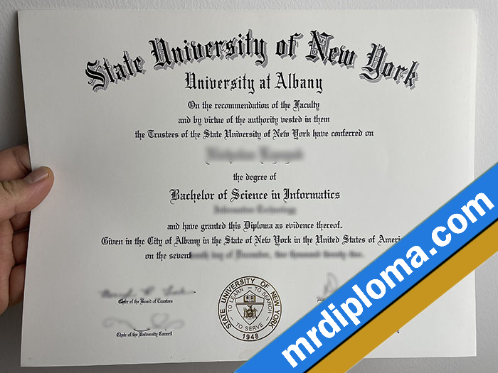 SUNY Albany Custom Printable Degree Certificate Printable Diploma