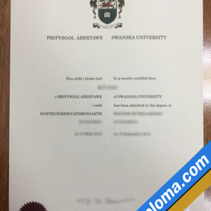 Swansea University Custom Printable Degree Certificate (Copy)