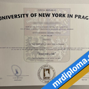University of New York in Prague (UNYP) Custom Printable Degree